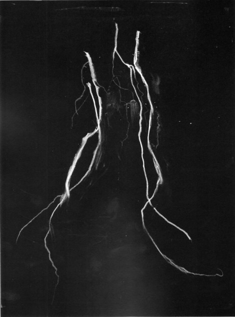 006-blackmetalcytwombly-volume-1